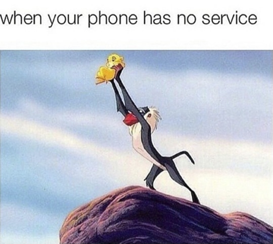 Blog - meme phone